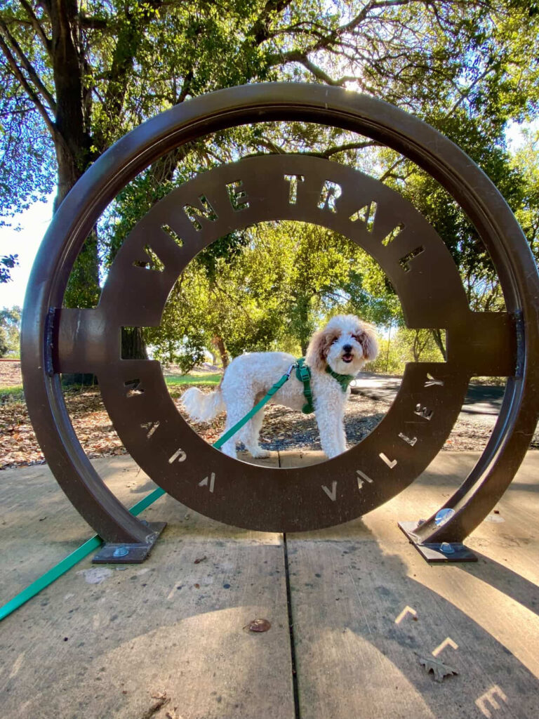 a trail for all credit to melissa bush happytails2you 