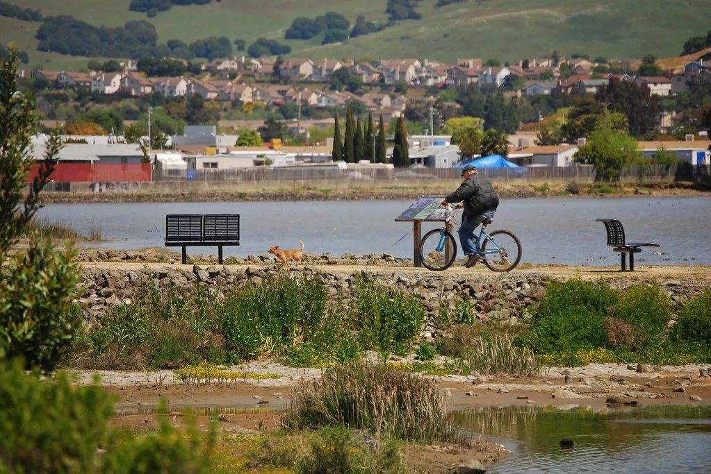 Vallejo White Slough Vine Trail