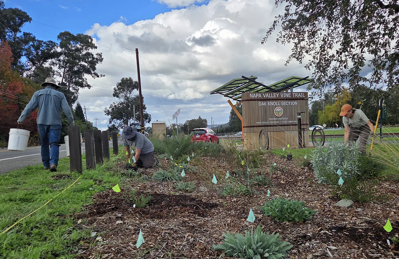 Vine Trail Coalition Initiatives