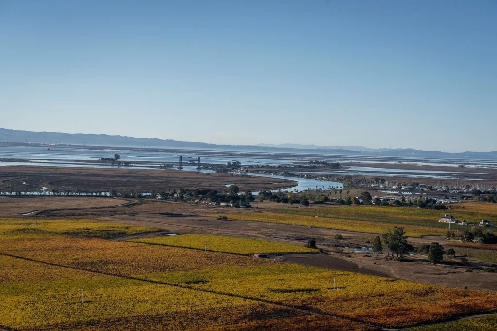 Vista Carneros View